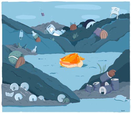 jamie_england_shell_3