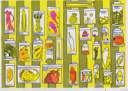 img20240209 15093106-1 (1)