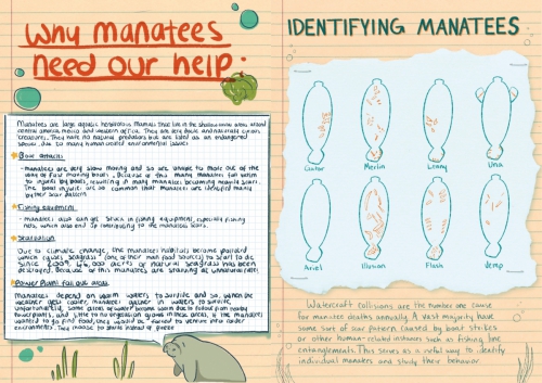 manatee-book-pages3-smaller